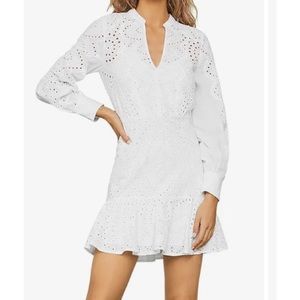 Bcbg eyelet lace long sleeved mini dress with inner slip